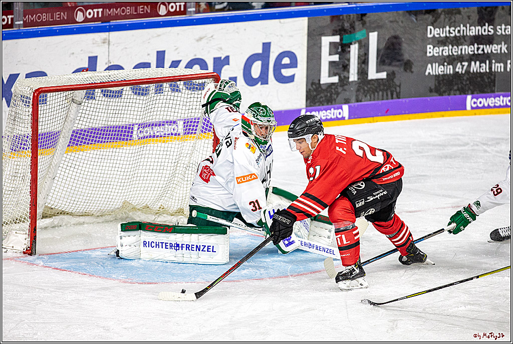 DEL; Koelner Haie - Augsburger Panther;; Koeln, 11.10.2019